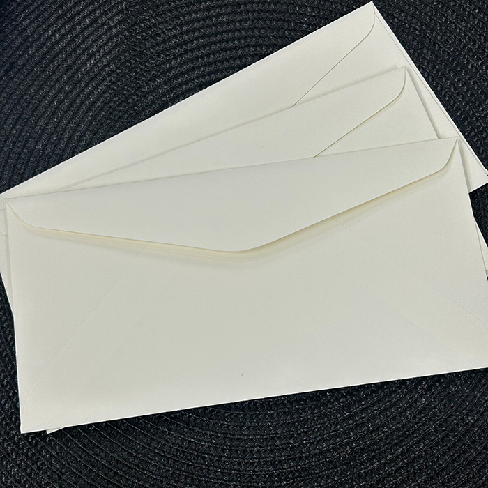 DL Envelopes 220x110mm – Matt White - Giftables